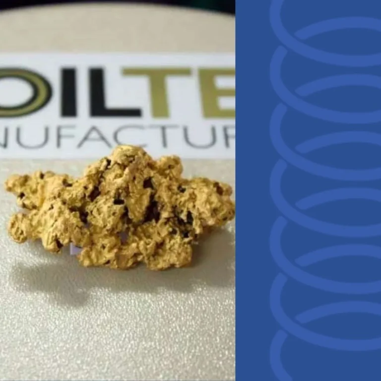 Coiltek Detector with Gold Nugget